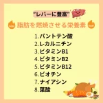 レバーに豊富、脂肪を燃焼させる栄養素